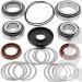 SCHREMS DIFFERENTIAL BEARING AND SEAL KIT REAR POLARIS