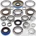 SCHREMS DIFFERENTIAL BEARING AND SEAL KIT REAR POLARIS