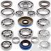 SCHREMS DIFFERENTIAL BEARING AND SEAL KIT REAR POLARIS Ranger RZR 4 XP 900 12-, RANGER RZR 570 EFI 12-, Ranger RZR XP 900 11-