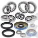 SCHREMS DIFFERENTIAL BEARING AND SEAL KIT REAR POLARIS