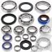 SCHREMS DIFFERENTIAL BEARING AND SEAL KIT REAR POLARIS