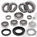 SCHREMS DIFFERENTIAL BEARING AND SEAL KIT REAR POLARIS