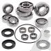 SCHREMS DIFFERENTIAL-LAGER UND SIMMERRING KIT REAR POLARIS Scrambler 500 4x4 02-