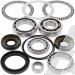 SCHREMS DIFFERENTIAL BEARING AND SEAL KIT FRONT KAWASAKI TERYX 750 4X4 08-