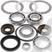 SCHREMS DIFFERENTIAL-LAGER UND SIMMERRING KIT FRONT KAWASAKI TERYX 750 4X4 08-