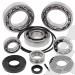 SCHREMS DIFFERENTIAL BEARING AND SEAL KIT REAR KAWASAKI TERYX 750 4X4 08-