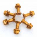 SCHREMS ŠROUB DO ROZETY 6 PACK GOLD KLČ 12 MM M8X30 8.8