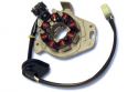 SCHREMS ELECTREX ZNDUNGS KIT HONDA CR 250 02-