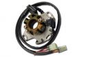 SCHREMS ELECTREX ZNDUNGS KIT SUZUKI RM 250 98-01