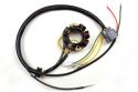 SCHREMS ELECTREX LIGHTING/STATOR KIT COMPLET