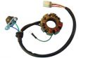 SCHREMS ELECTREX ZNDUNGS KIT KAWASAKI KXF 250 04-/ SUZUKI RMZ 2