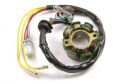 SCHREMS ELECTREX STATOR KIT SE SV?TLEM KAWASAKI KXF 250 04-/ SUZ