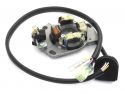 SCHREMS ELECTREX STATOR KIT SE SV?TLEM YAMAHA YZ 125 05-