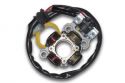 SCHREMS ELECTREX LICHT/ZNDUNGS KIT KOMPLETT YAMAHA YZF450 06-