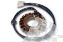 SCHREMS ELECTREX GENERATOR HONDA RS250 (ELECTRIK START)