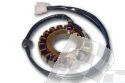 SCHREMS ELECTREX GENERTOR HONDA  RS250 (ELECTRIK START)