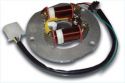 SCHREMS ELECTREX STATOR KIT