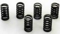 SCHREMS-EBC CLUTCH SPRING KIT PREMIUM 6-PIECE